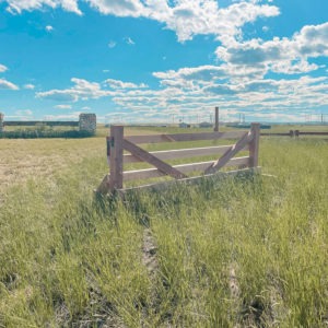 Custom Built Cross Country Fences for Eventing