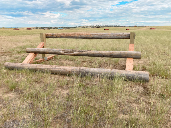 Custom Cross Country Jumps by Ali Allen-Shinn