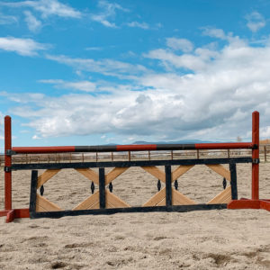 Photo of Custom Made Show Jumping Gate