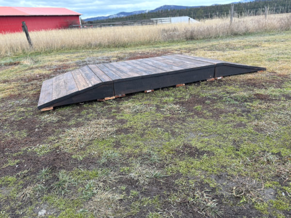 Wooden Bridge For Working Equitation